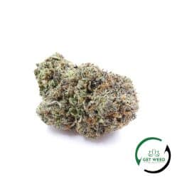 SNOOP DOGG OG (AAAA+)