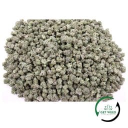 SNOOP DOGG OG (POPCORN) - 28g/56g