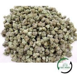 DOSI PUNCH SMALL BUDS