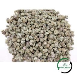 GELATO MINTZ (POPCORN) - 28g/56g