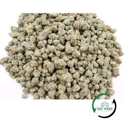 BIG ISLAND SKUNK SMALL BUDS (AAAA)