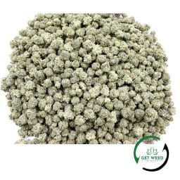 DIABLO DEATH BUBBA SMALL BUDS (AAAA+)