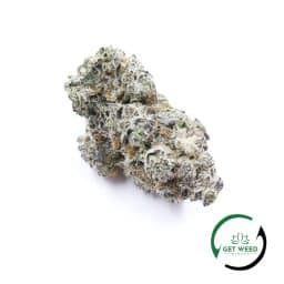 MAMACITAS COOKIES (AAAA/CRAFT)