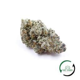 TROPICANA PUNCH (AAAA)