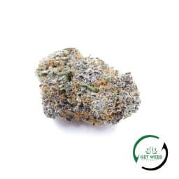 PURPLE GODS GIFT (AAAA)