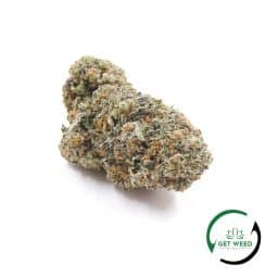 SUNDAE DRIVER (AAA)
