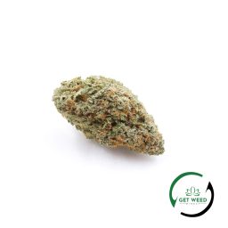 ALASKAN THUNDERFUCK (AAA)