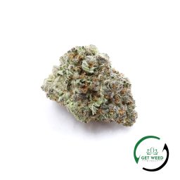 TROPICAL CHERRY (AAAA)